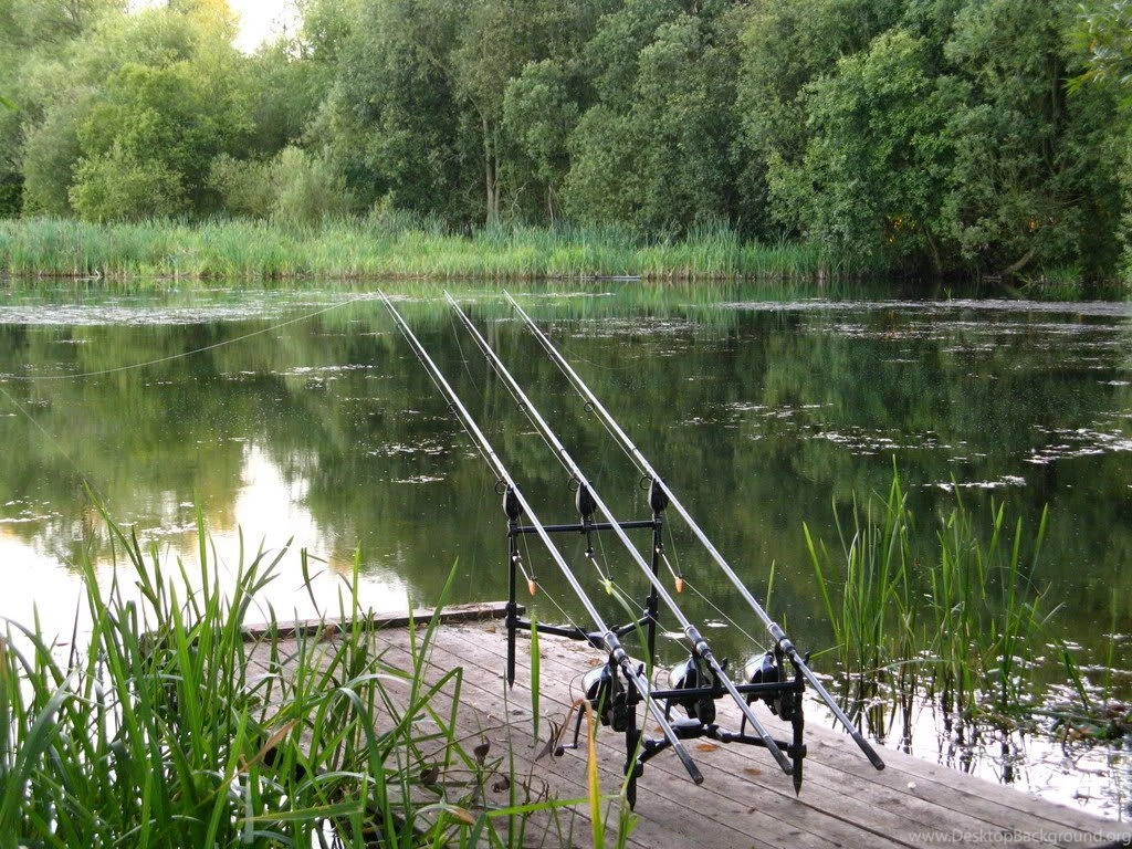 Beedles Aug 07   Carp   Carp.com Fishing Forum