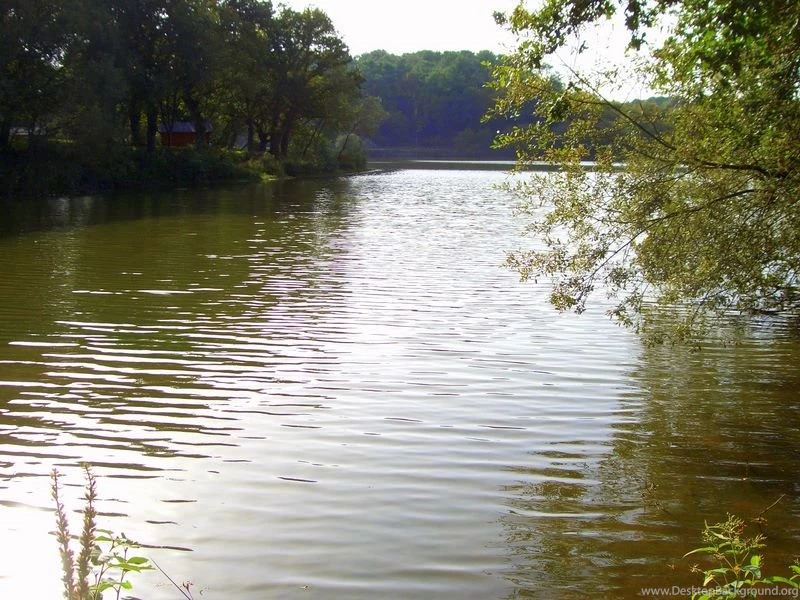 Wallpapers Carpfishing Source Http In France Gallery Carp Fishing ...