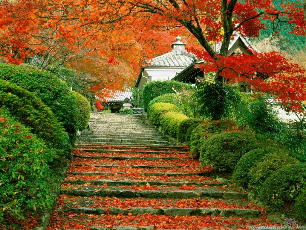 Garden level and leaves autumn season wallpapers 2560x1920.jpg