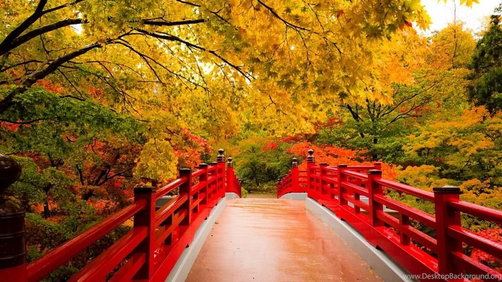 Autumn Nature HD Wallpapers Pictures