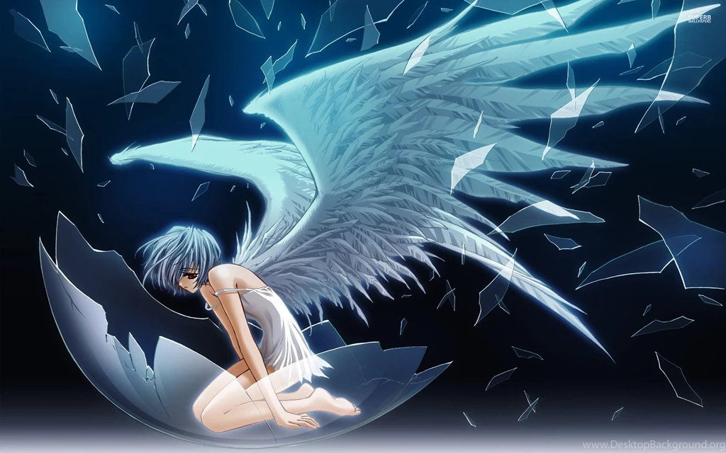 Rei Ayanami : Desktop And Mobile Wallpapers : Wallippo