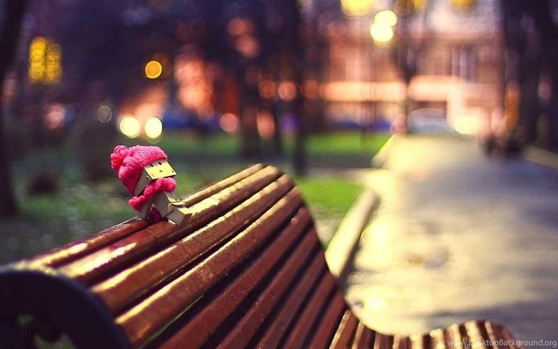 Bench Danboard Amazon Hdr Photography 1920x1200 Wallpapers ...