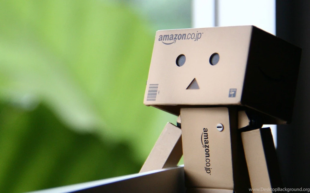 Boy Yellow Little Danboard Danbo Box Amazon
