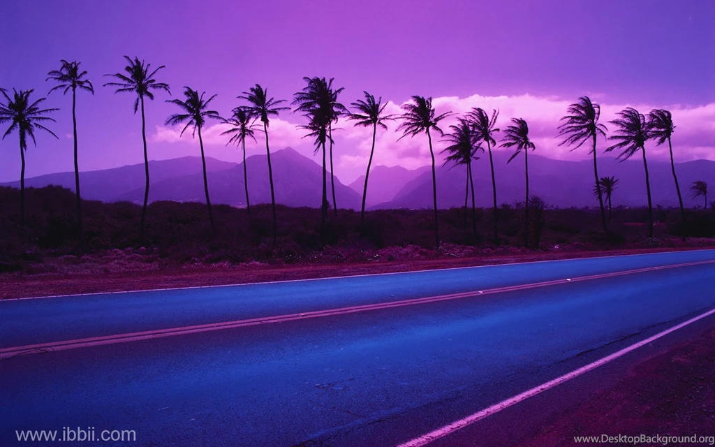 Wallpapers Gmail Coconut Trees Beach Purple 1920x1200