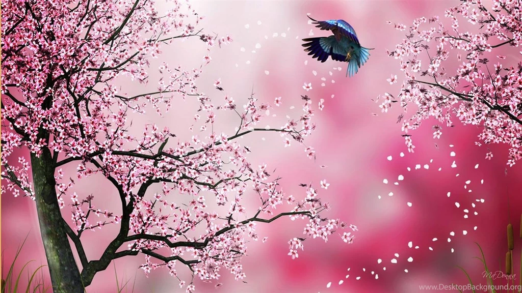 MaDonna's Themes And Wallpapers: New Backgrounds