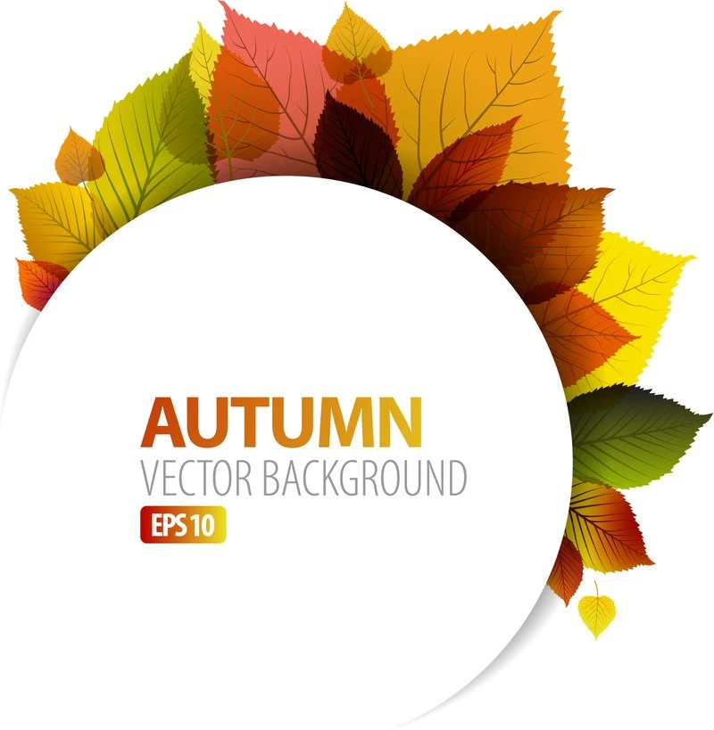 Exquisite Leaf Backgrounds Free Vector Download