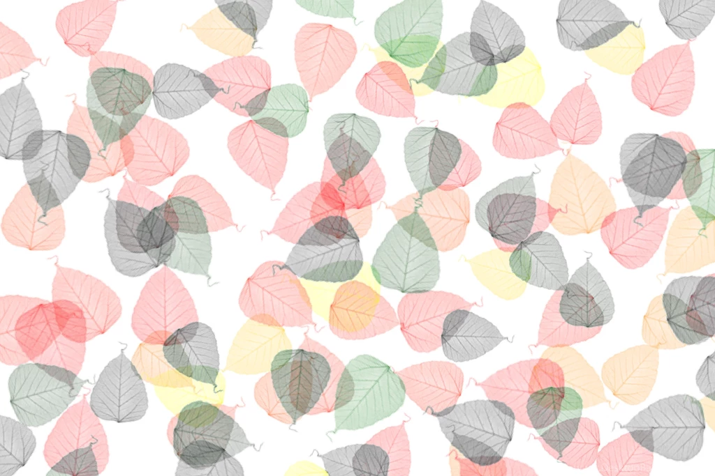 Autumn Leaf Backdrop White