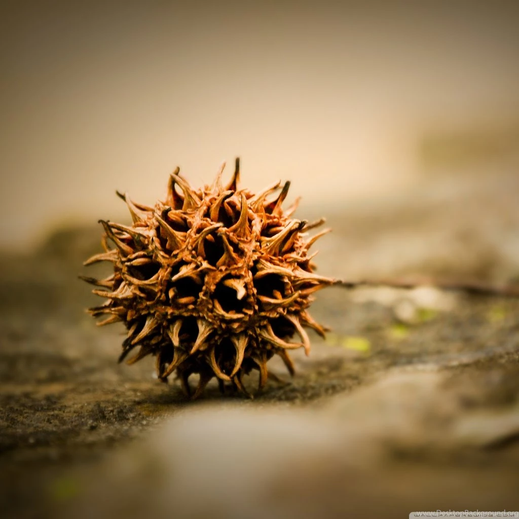 All Alone HD Desktop Wallpapers : High Definition : Fullscreen : Mobile