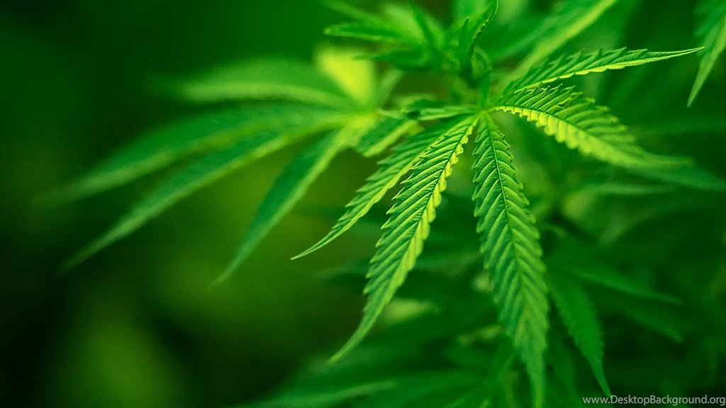 Marijuana Wallpapers HD