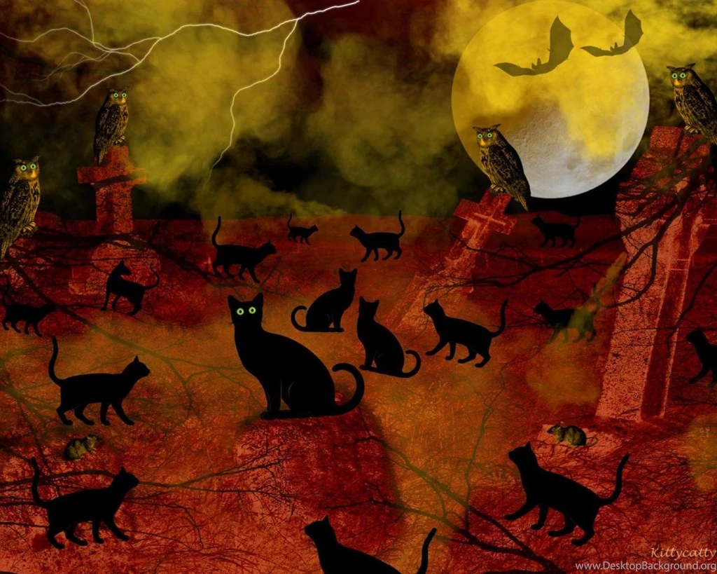 Halloween Night Cat Meeting Wallpapers   (