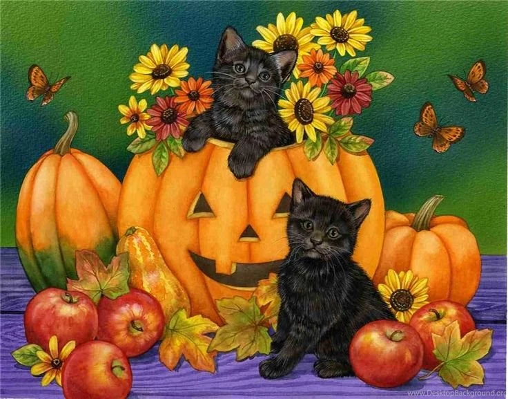 Cute Fall Pumpkins Wallpapers