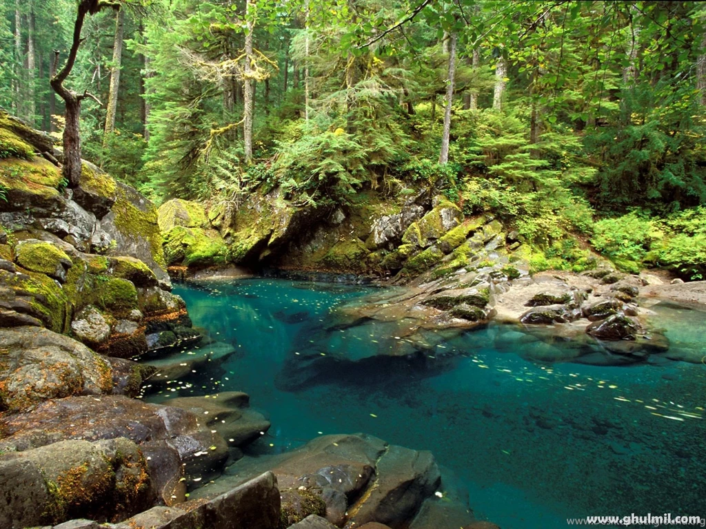 Free Beautiful Nature Wallpapers – HD Wallpapers Free Download