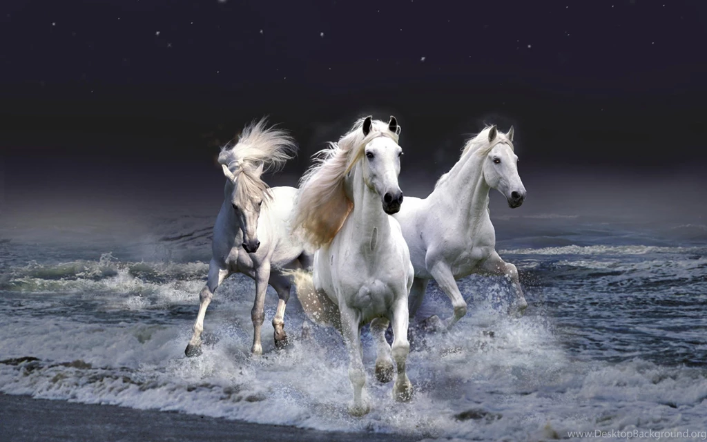 Running Horse Wallpapers ImgMob