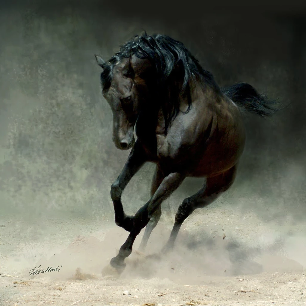 Horse Wallpapers Thumbgal