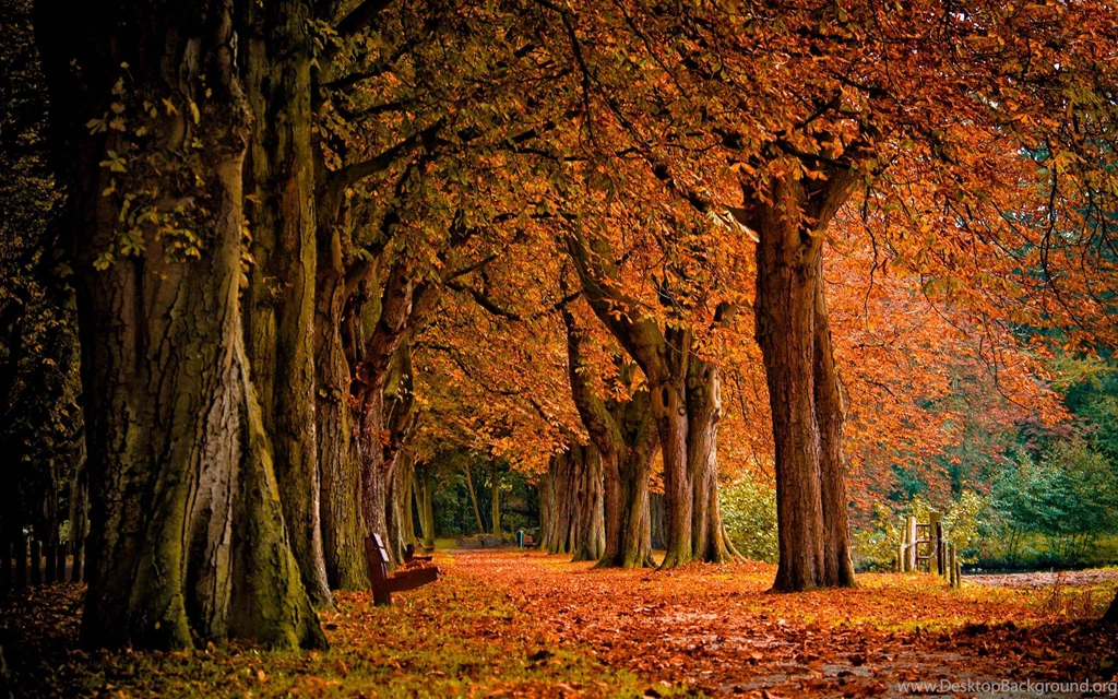 Index Of /autumn wallpapers