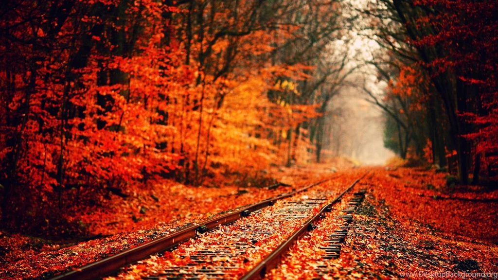 Fall HD Wallpapers