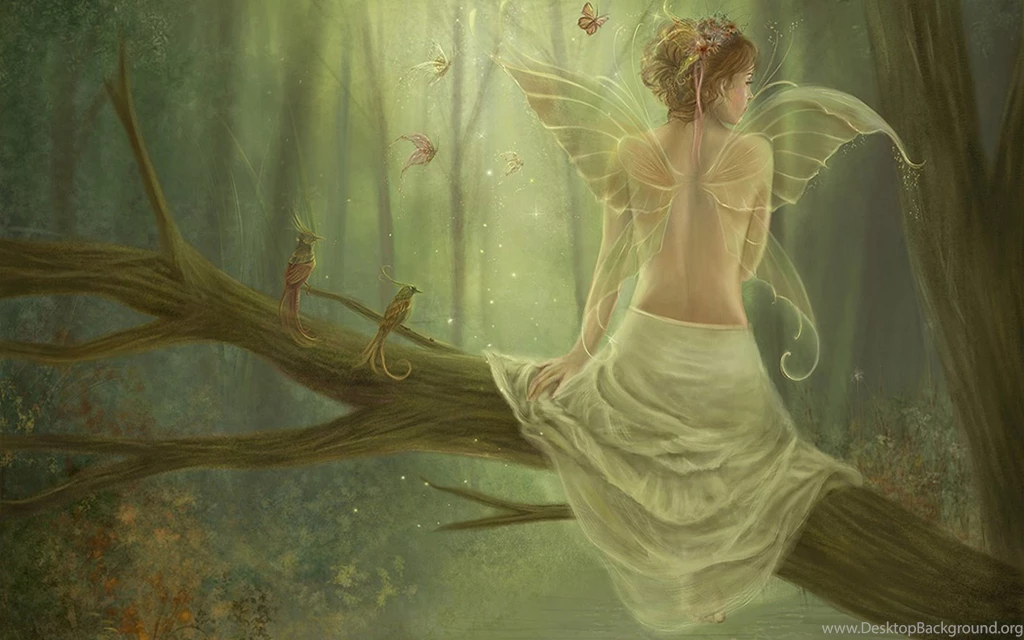 354 Fairy HD Wallpapers