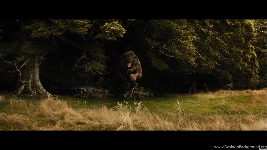 Smaug & Bilbo Wallpapers   The Hobbit: The Desolation Of Smaug ...