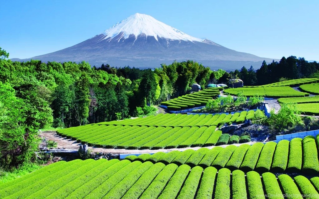 Mount Fuji Japan