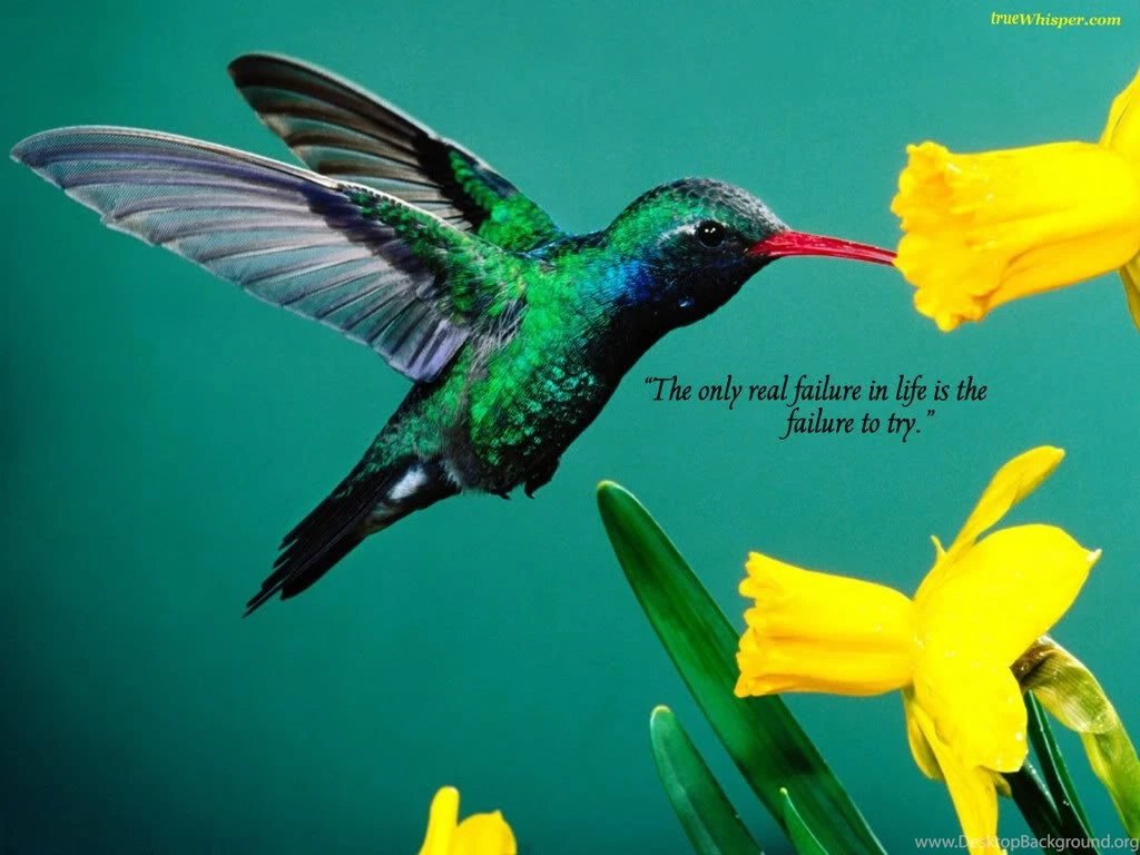 Inspirational Wallpapers And Quotes ~~~