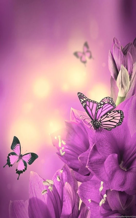 Butterfly Live Wallpapers Android Apps On Google Play