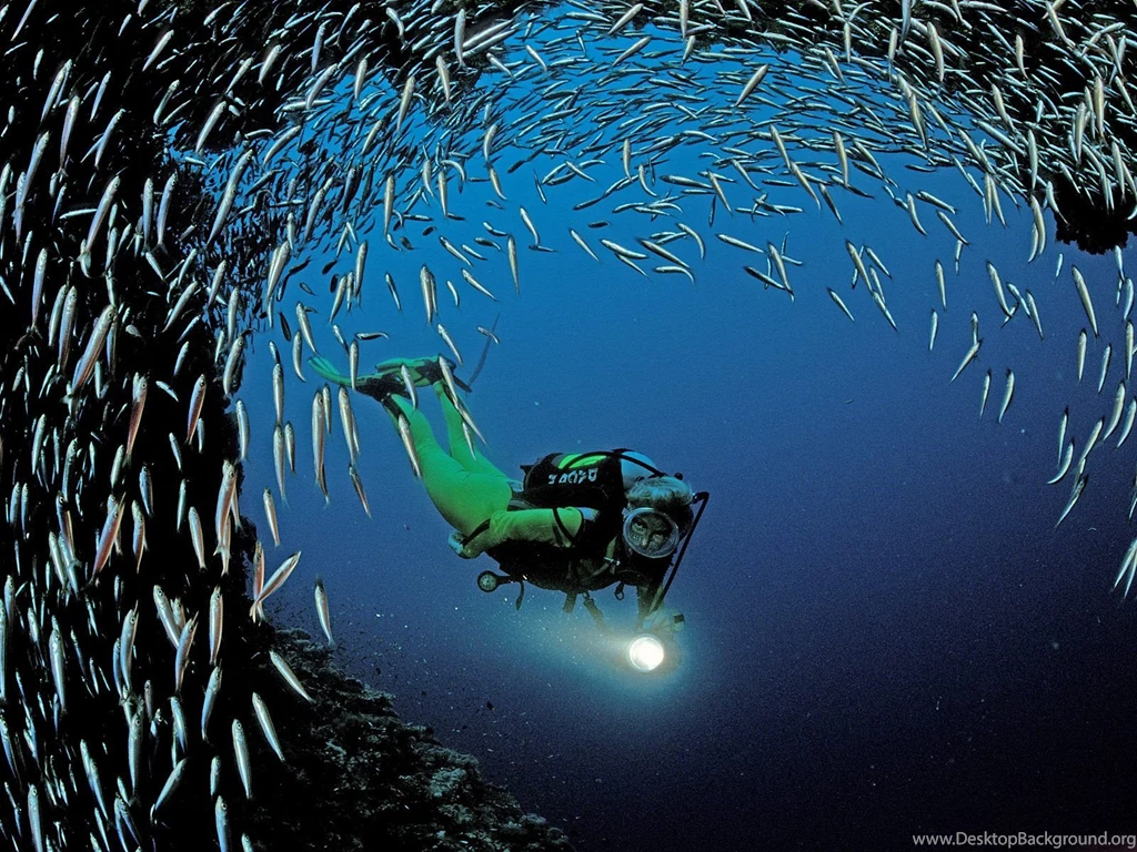 Scuba diving wallpapers