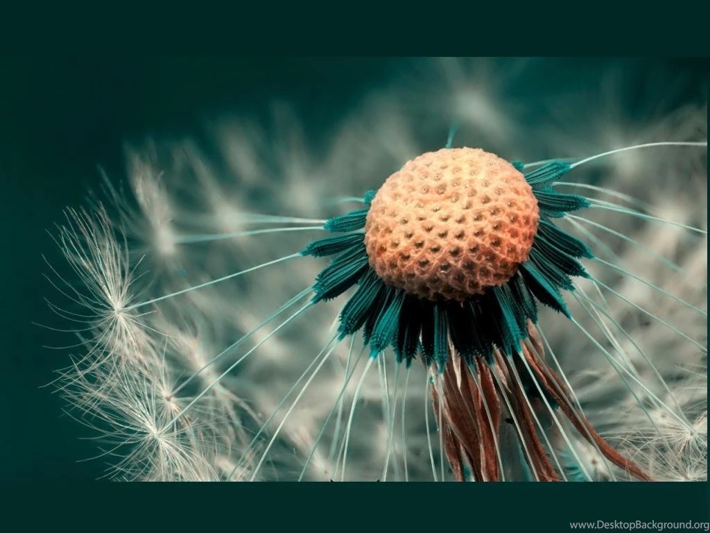 Photography Wallpapers