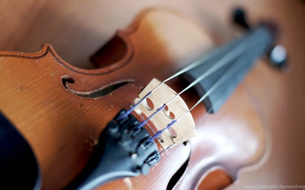 Cool Violin Music Photography Hd Desktop Wallpapers