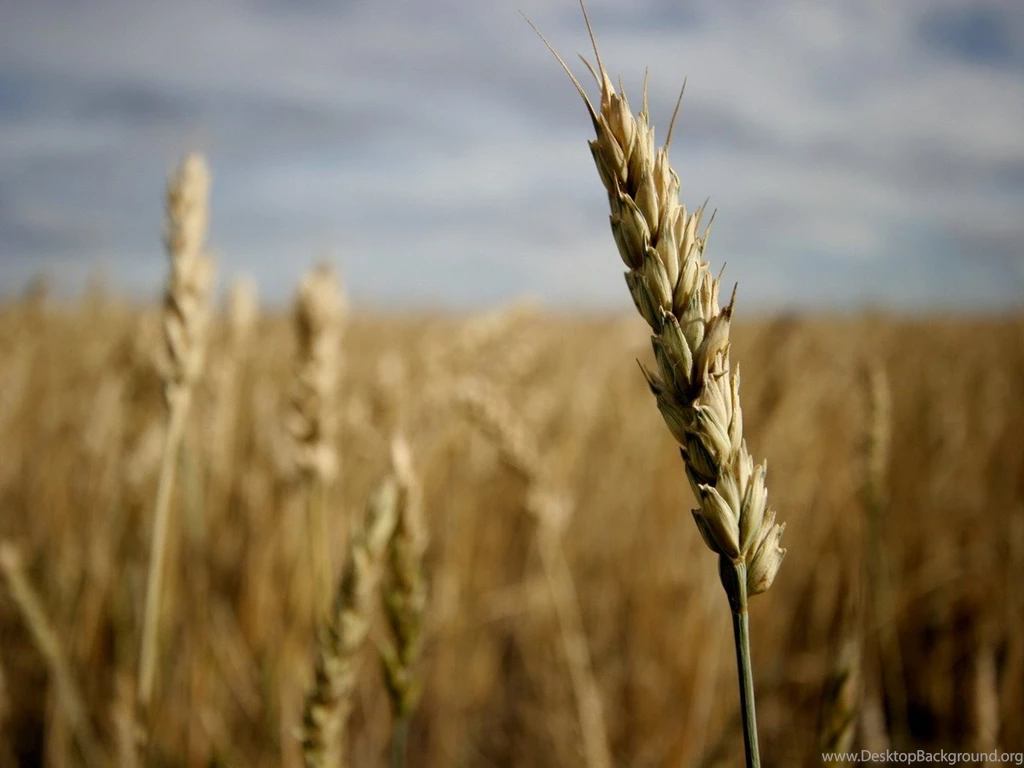 Nature Photography Wallpapers