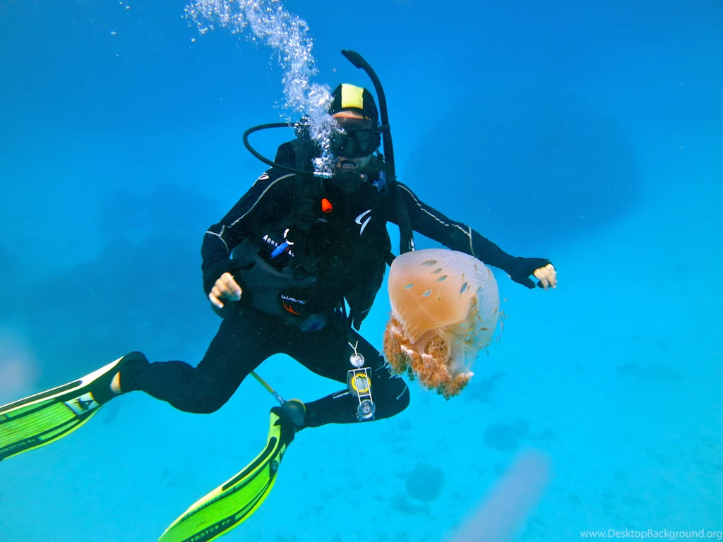 Scuba Diving Diver Ocean Sea Underwater Wallpapers