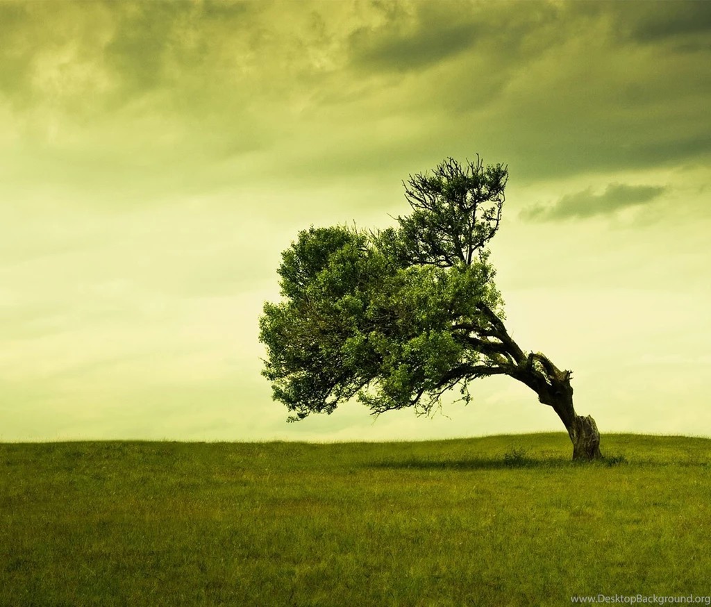 Tablet Wallpapers Collection (42+)