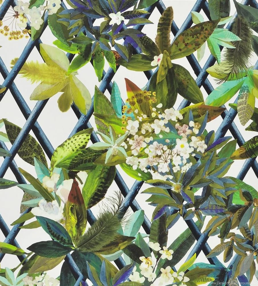 Canopy   Saphir Wallpapers