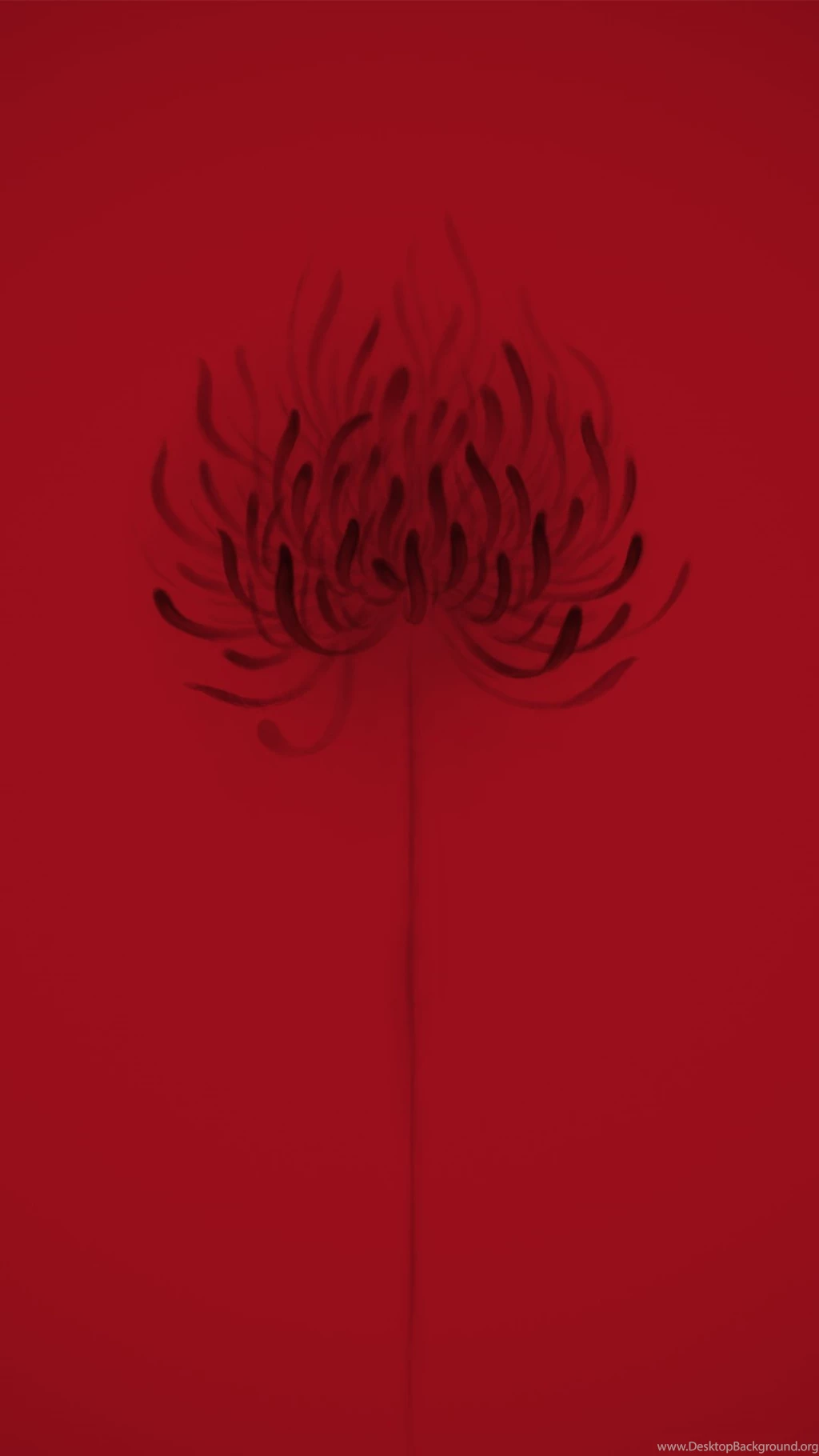 Flower Iphone Wallpapers