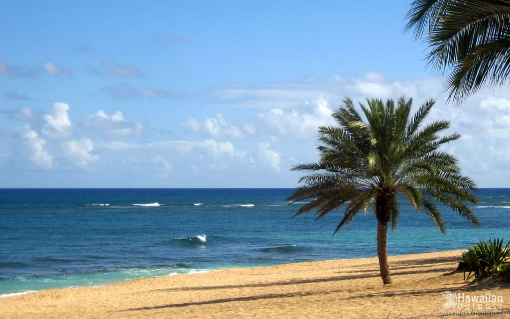 Free Hawaii Desktop Backgrounds Wallpapers Cave