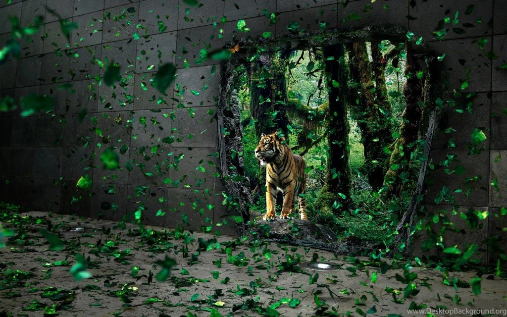 Unique & Mind Blowing HD Wallpapers TechBlogStop
