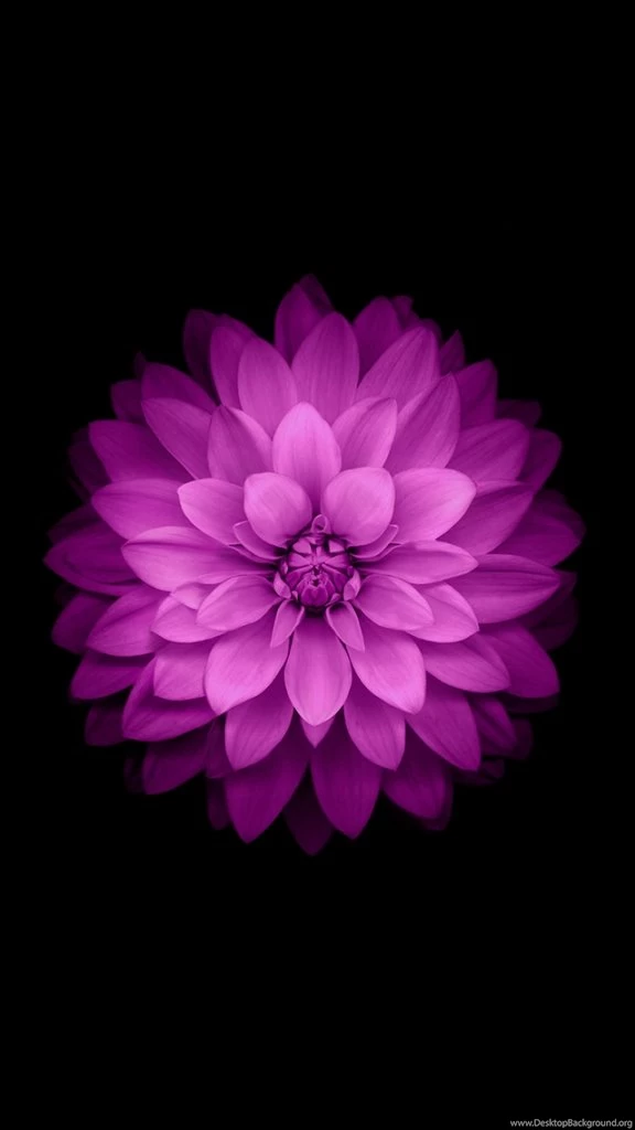 How To Disable Auto Wallpapers Size And Zooming On Ios 8 Iphone 6 ...
