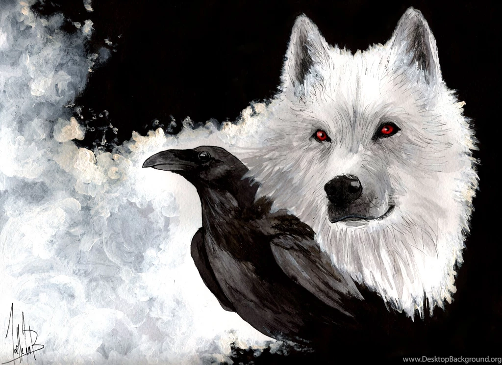 Crows Wallpapers