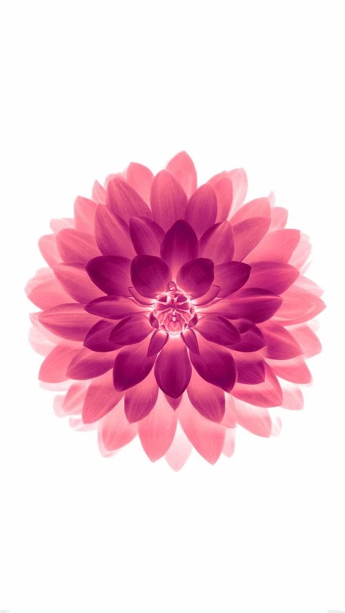 iPhone 6 / iPhone 6 Plus Wallpapers — Gadgetmac