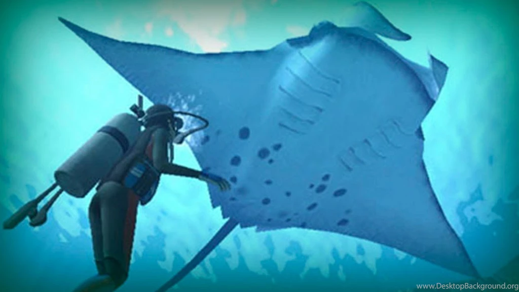 Manta Ray, A Giant Of The Ocean YouTube
