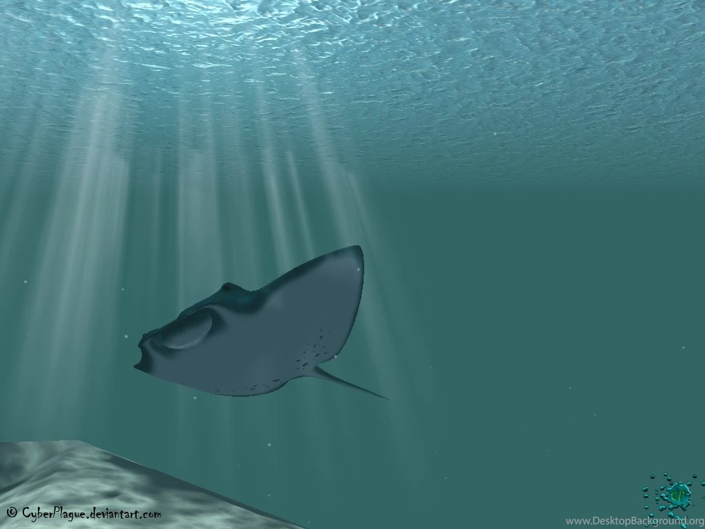 Manta Ray By Cyberplague On DeviantArt