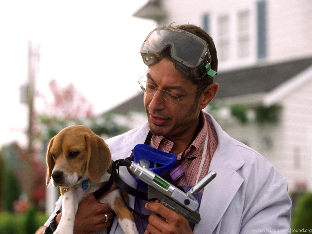Jeff Goldblum Jeff Goldblum Wallpapers Hd For Desktop – Widescreen ...