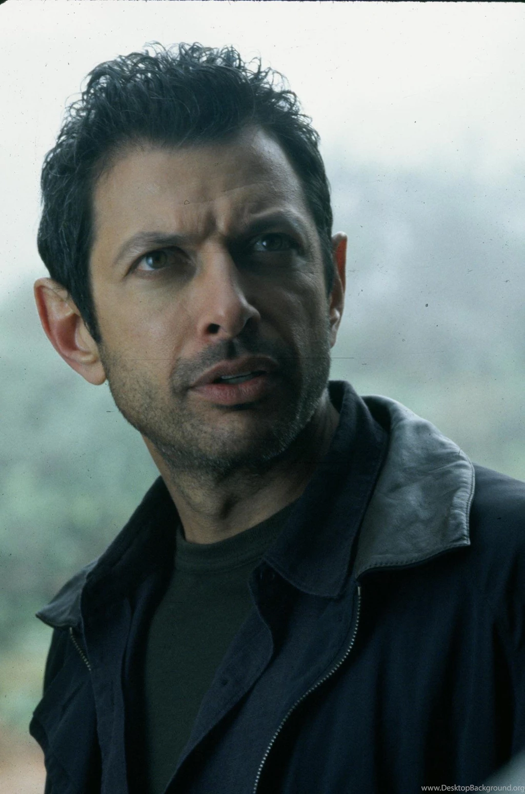 Pictures Of Jeff Goldblum Pictures Of Celebrities