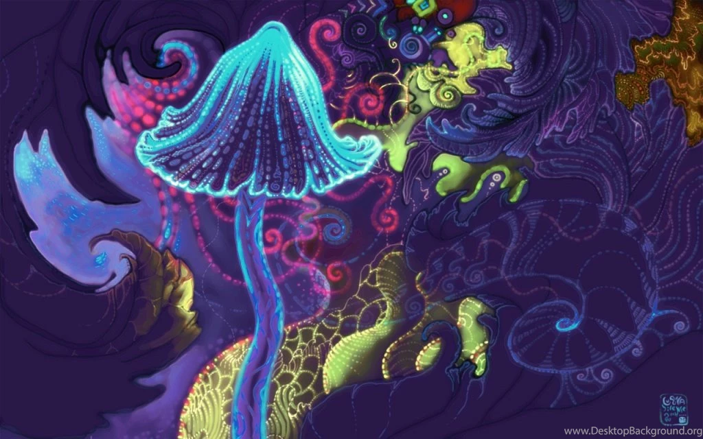Study Says: Skip Breakfast, Take Some LSD Notes & Errata By Mark ...