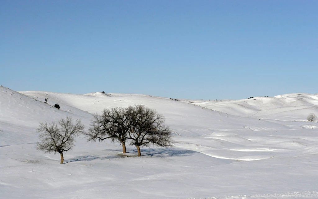Winter snow scene wallpapers