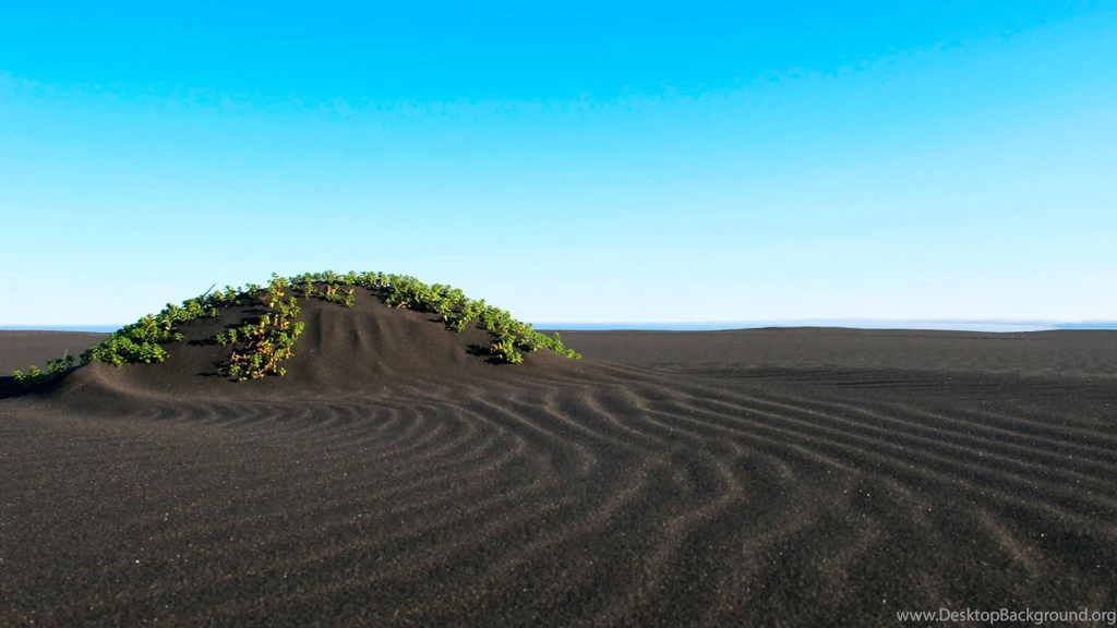 Black Sand Beach Wallpapers And Images Wallpapers, Pictures, Photos