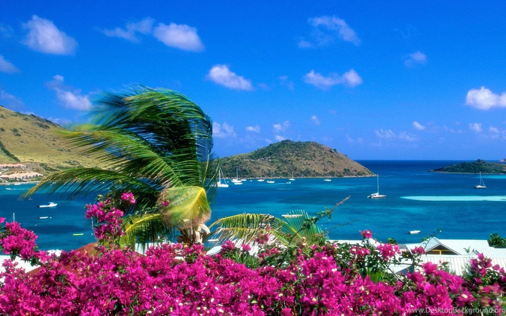 Widescreen Desktop Wallpapers Desktop Backgrounds