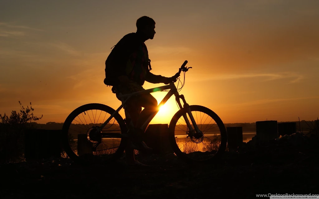 Cycling, Bicycle, Shadow Of A Man Wallpapers And Images ...