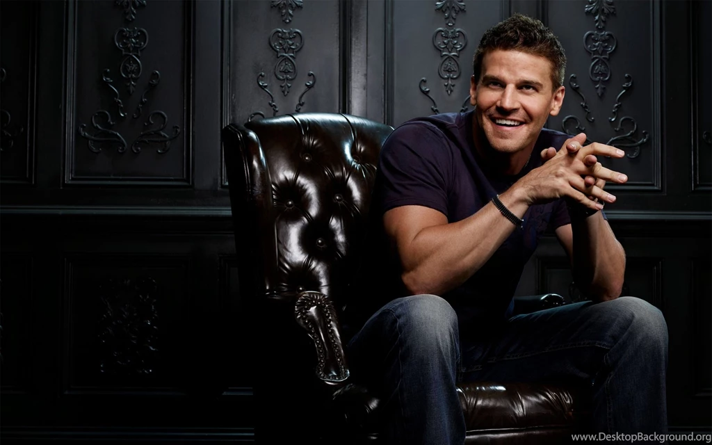 Download Wallpapers 3840x2400 David Boreanaz, Actor, Man, Chair ...