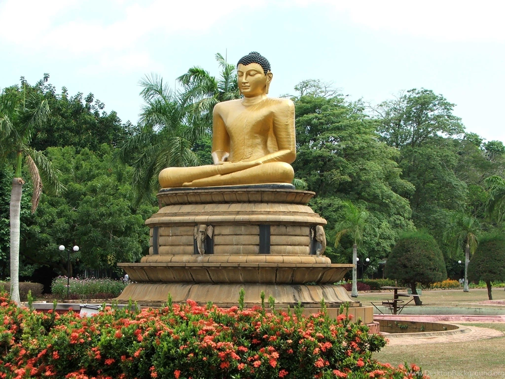 Gautam Buddha HD Wallpaper Images Pictures Photos Download Page 0