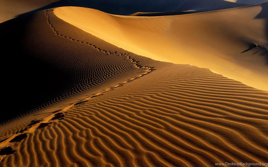 Desert Sand HD Wallpapers